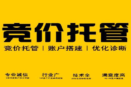 专业SEM托管，案例分享助力企业实现低成本广告